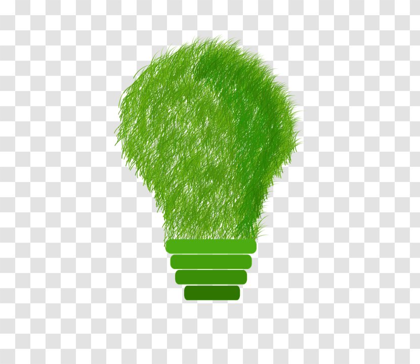 Sustainability Sustainable Development Energy Design - Electricity - Save Transparent Transparent PNG