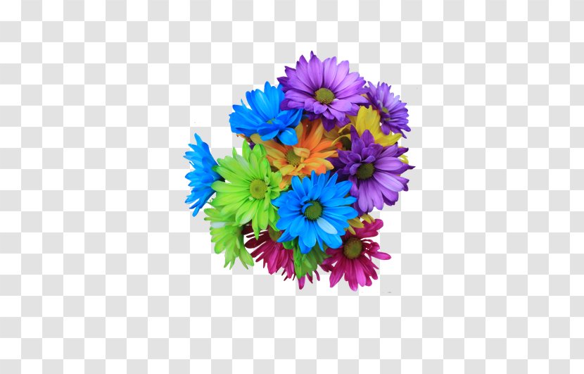 Flower Bouquet Clip Art - Plant - Colorful Daisy Ball Transparent PNG