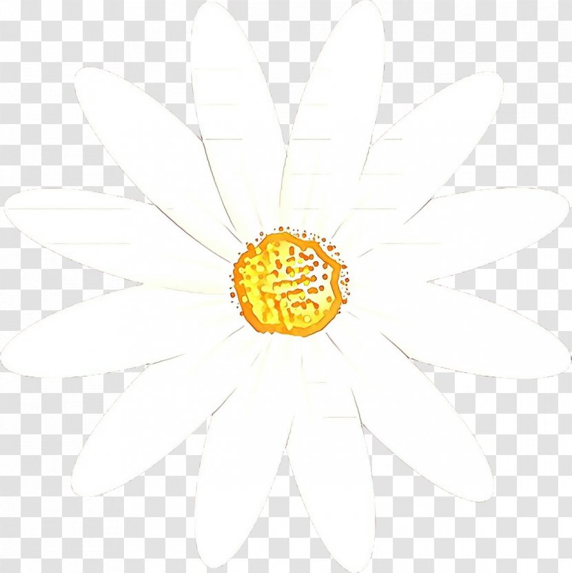 Flowers Background - Cartoon - Mayweed Pollen Transparent PNG