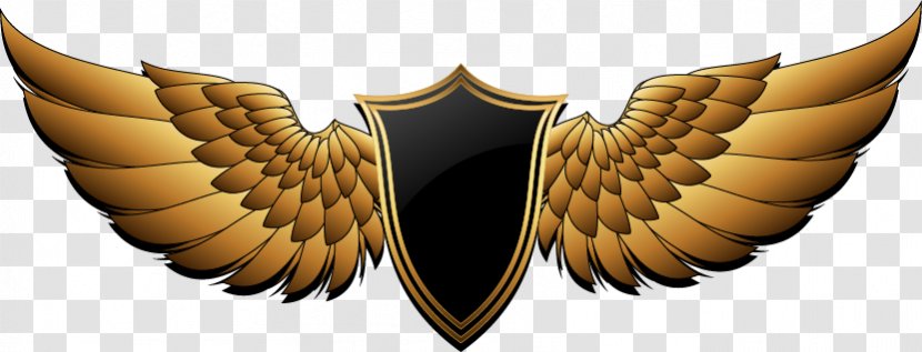 PFC Berkut Armyansk Buffalo Wing FC Ocean Kerch Logo - Abstract Wings Design Transparent PNG