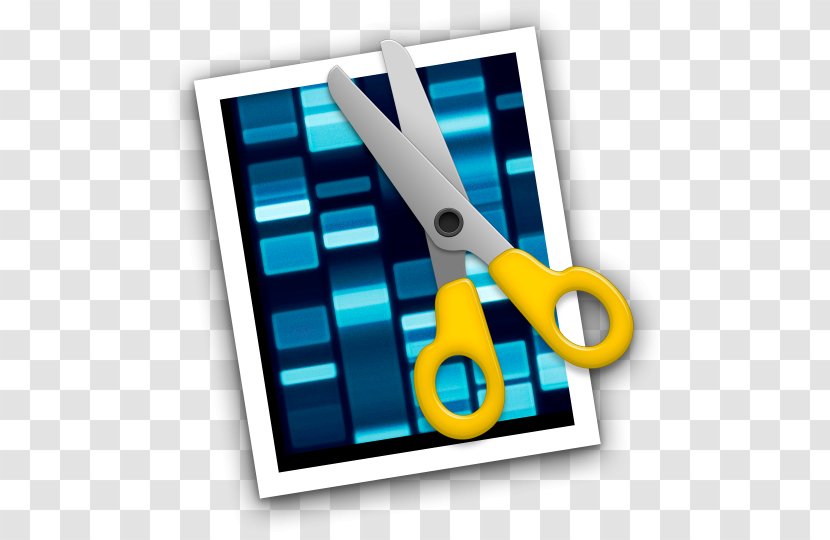 DNA Sequencing Nucleic Acid Sequence Sequencer Molecular Biology - Technology Transparent PNG