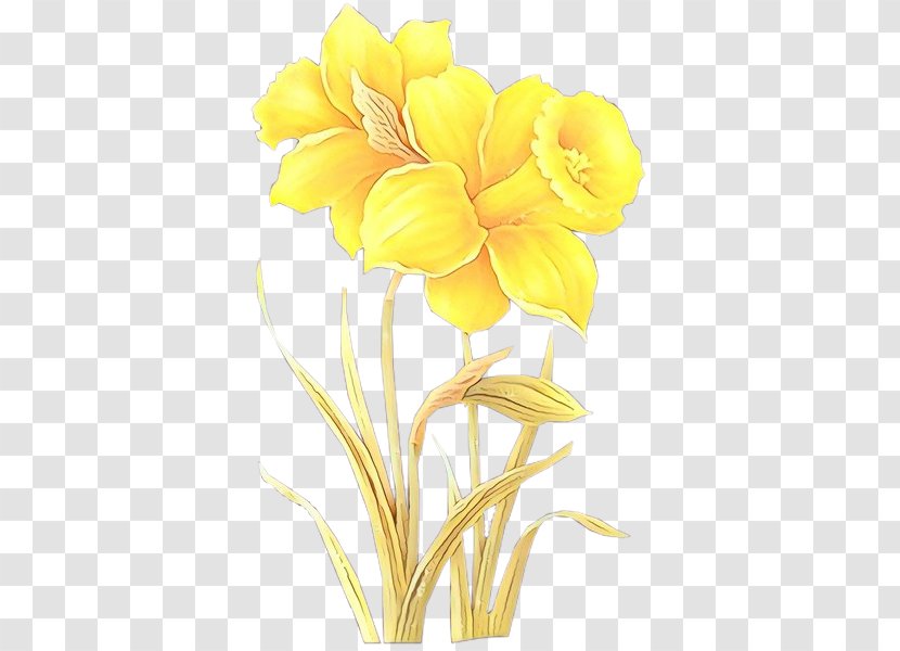 Flower Yellow Petal Cut Flowers Flowering Plant - Evening Primrose Family Freesia Transparent PNG