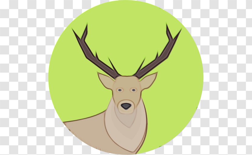 Reindeer - Yellow - Horn Transparent PNG