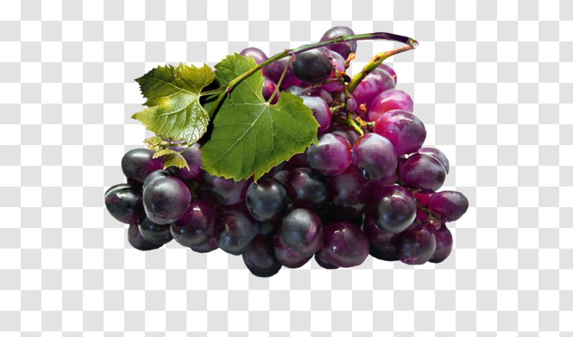 Grape Seed Extract Grapevines - Boysenberry Transparent PNG