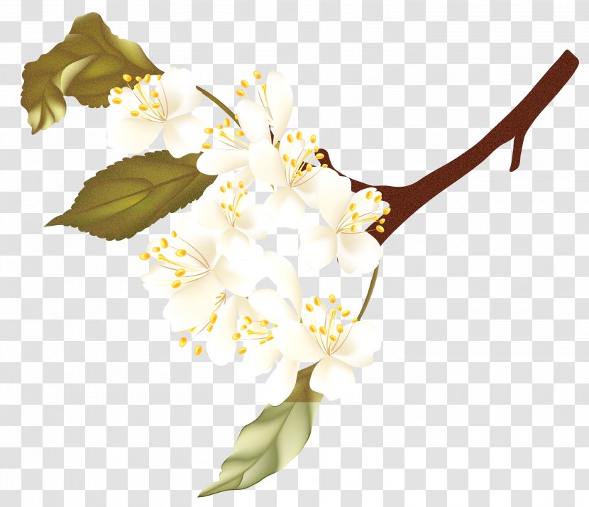 Floral Spring Flowers - Design - Branch Tree Transparent PNG