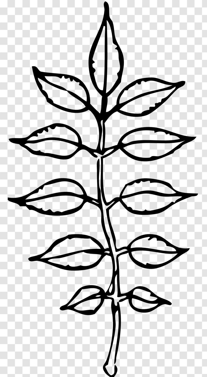 Leaf Black Plant Black-and-white Line - Blackandwhite - Flower Symmetry Transparent PNG