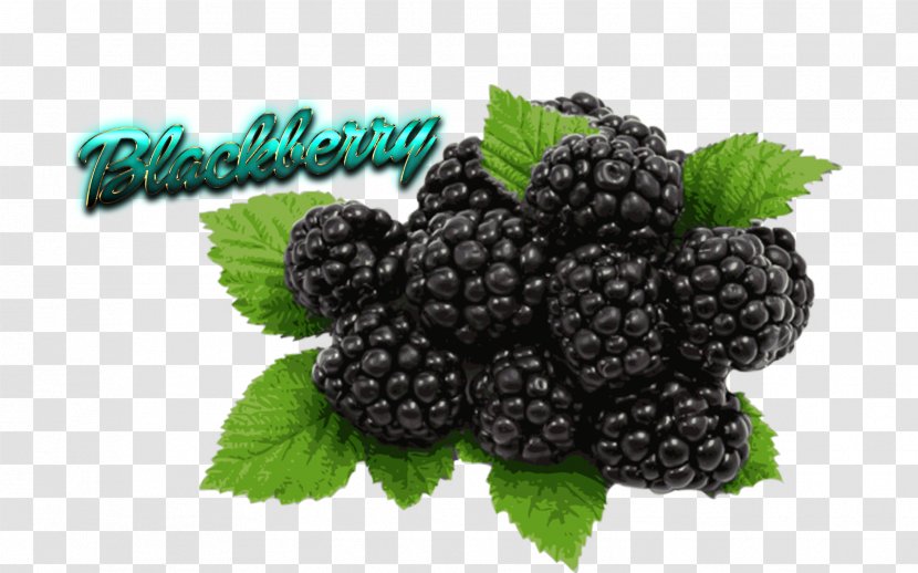 Organic Food Black Raspberry Berries Flavor Fruit Transparent PNG