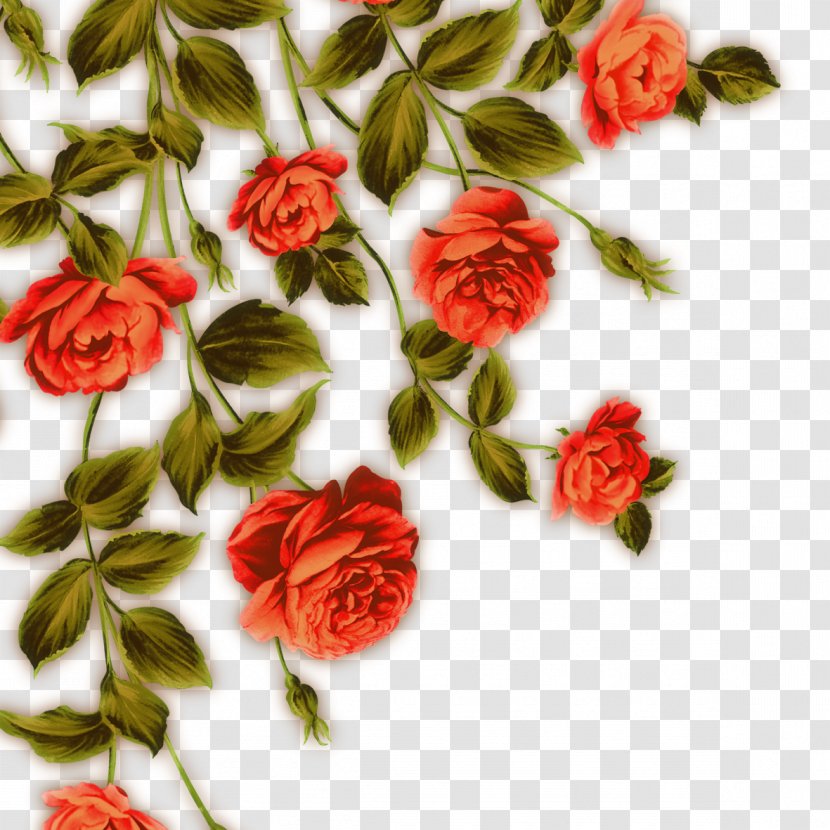 Garden Roses Beach Rose Flower Red - Flowering Plant - Painted Flowers Transparent PNG
