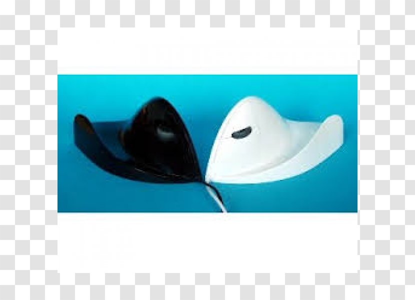 Hat Dolphin Transparent PNG