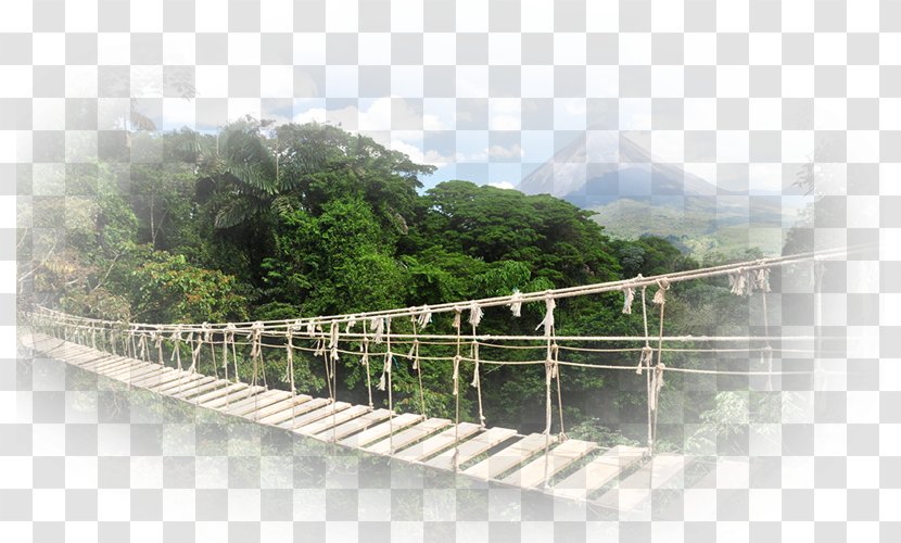 Monteverde Travel Desktop Wallpaper - Adventure Transparent PNG