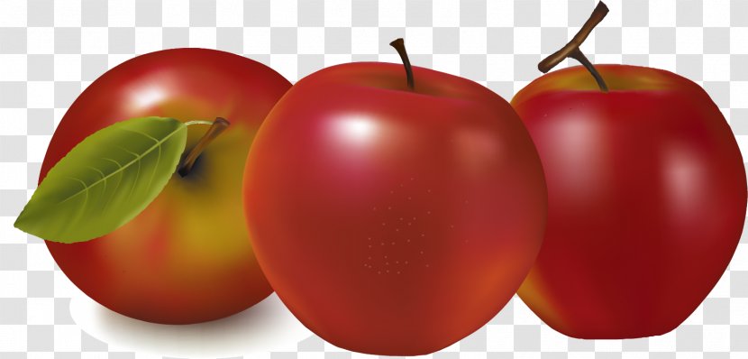 Royalty-free Apple Fruit Illustration - Natural Foods - Vector Painted Transparent PNG