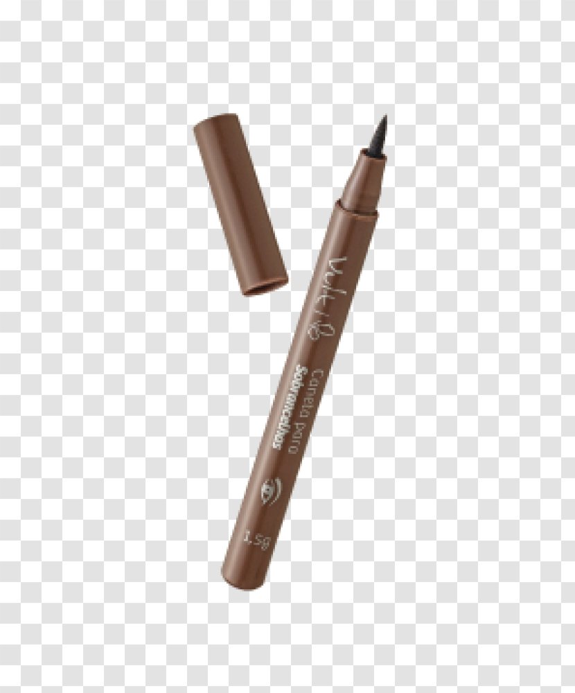 Eyebrow Brazil Paintbrush Pencil Transparent PNG
