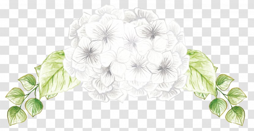 Hand-painted Flowers - Hydrangea - Stock Photography Transparent PNG