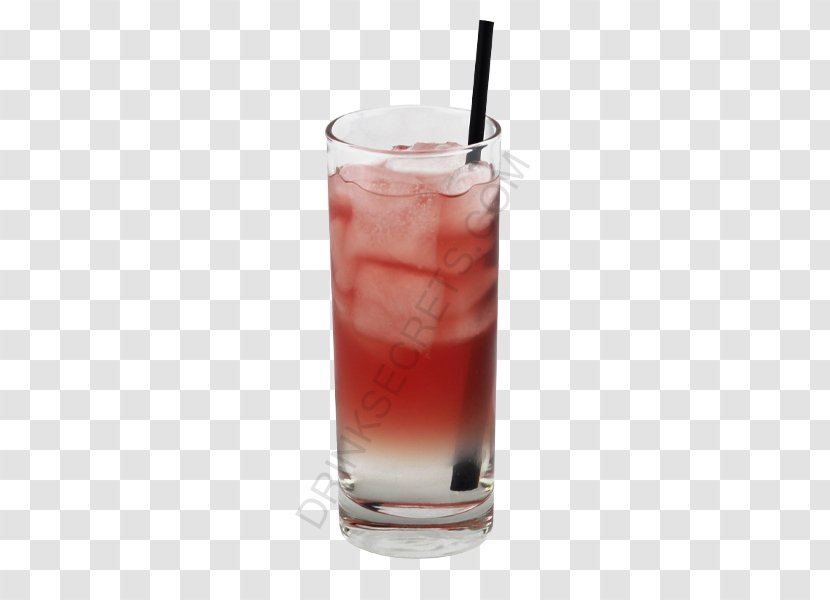 Bay Breeze Woo Tinto De Verano Sea Cocktail Garnish - Spritzer - Peach Drink Transparent PNG