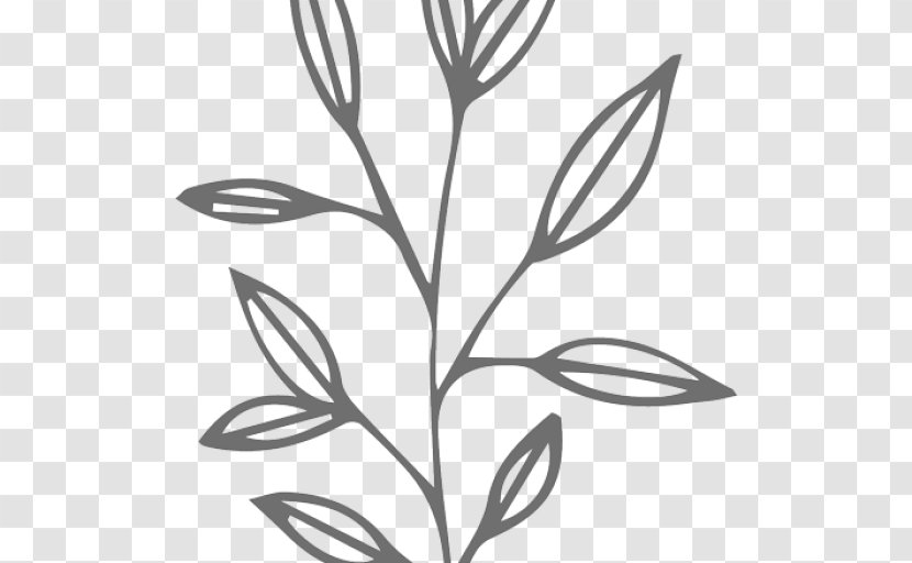 Leaf Plant Stem Wreath Clip Art - Monochrome Photography Transparent PNG