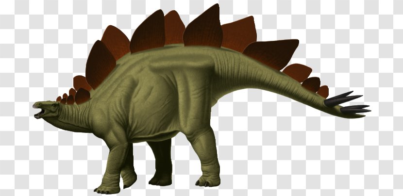 Tyrannosaurus Stegosaurus Cretaceous–Paleogene Extinction Event Styracosaurus Dinosaur - Egg Transparent PNG