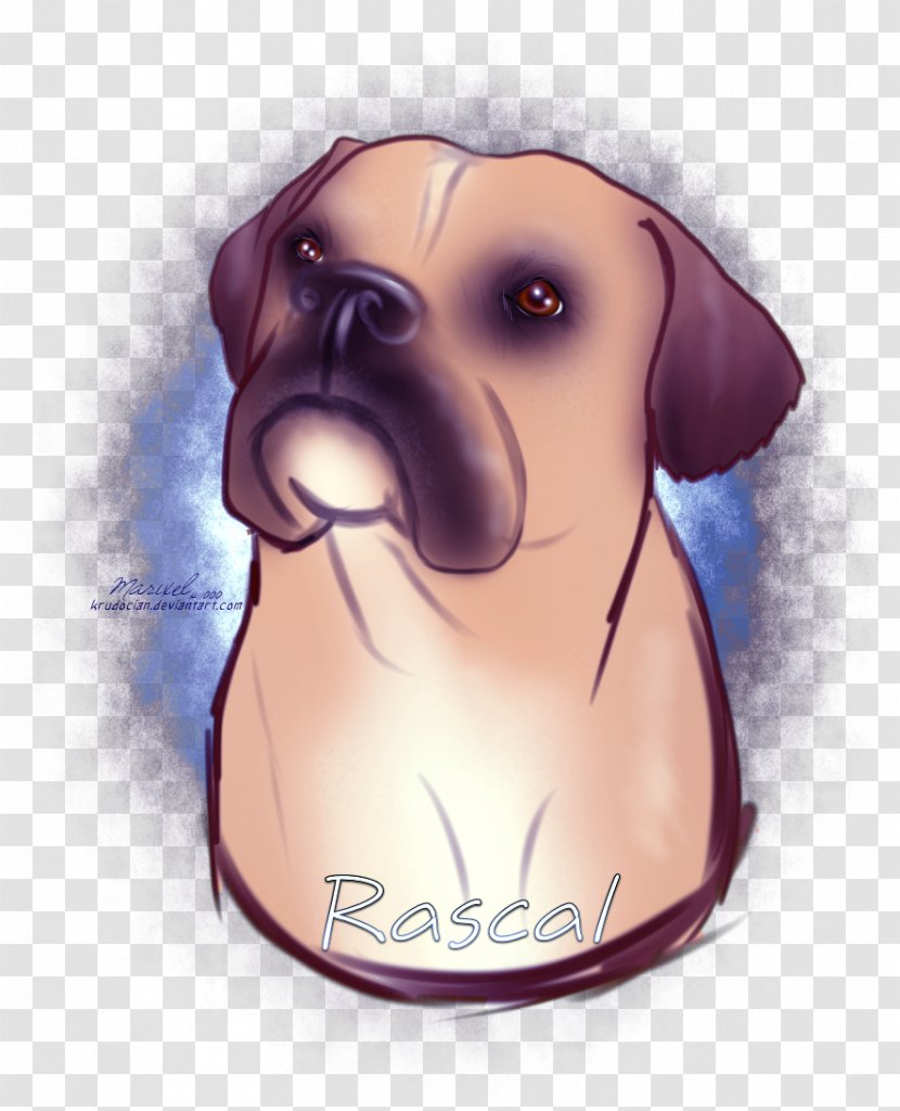 Dog Breed Puppy Love Sporting Group - Nose Transparent PNG