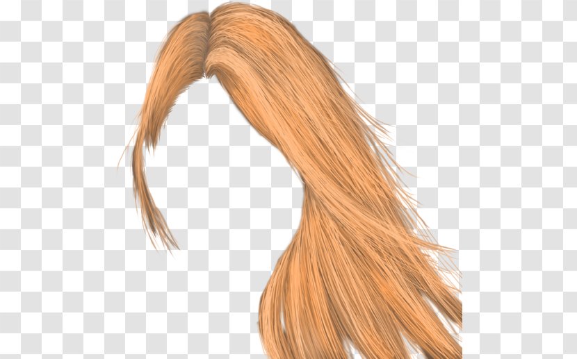 Long Hair Blond Capelli Coloring Brown Transparent PNG
