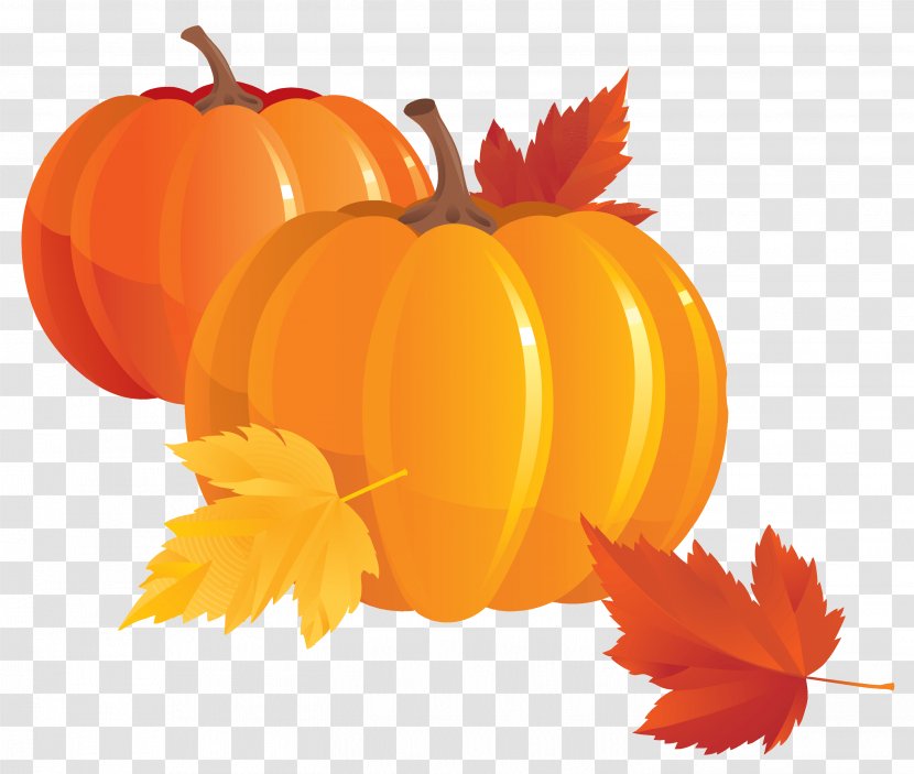 Pumpkin Pie Clip Art - Cucurbita Pepo Transparent PNG