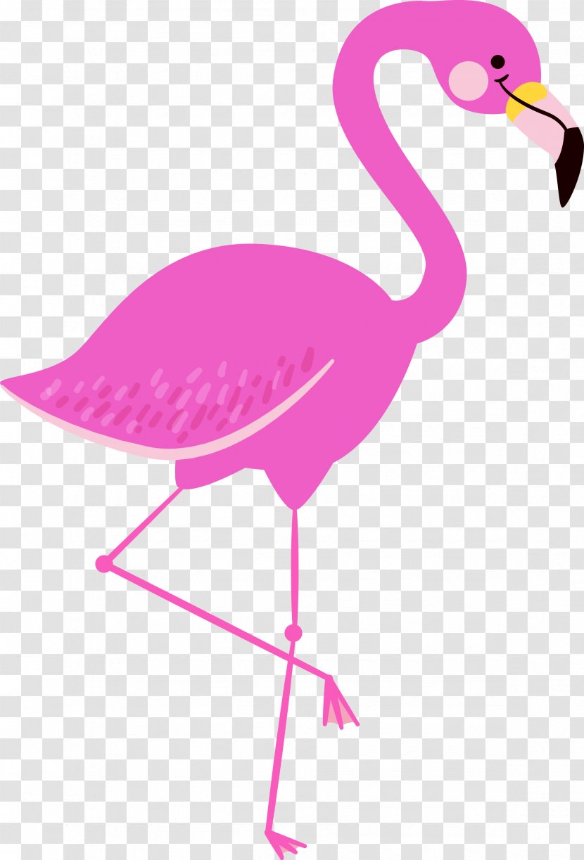 Flamingo Clip Art - Bird Transparent PNG
