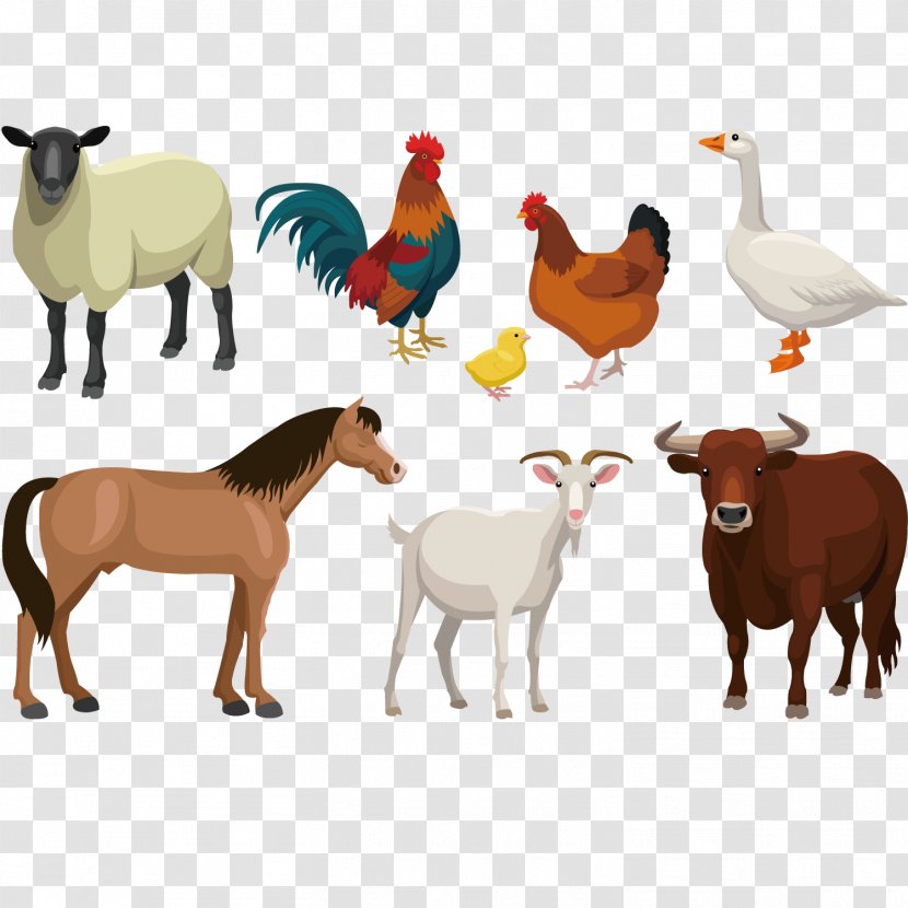 Cattle Goat Sheep Livestock - Farm Animal Vector Illustration Transparent PNG