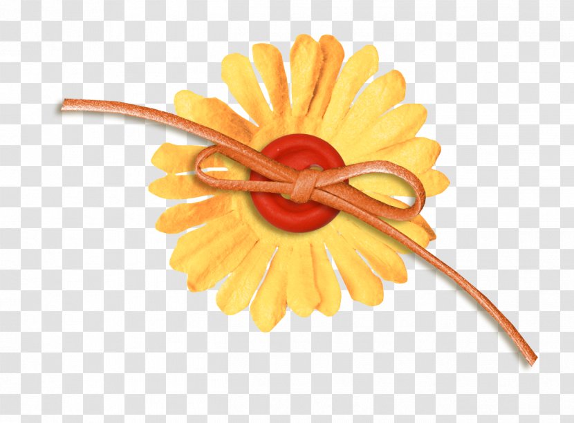 Flower Google Images Download Icon - Gerbera - Orange Rope Transparent PNG