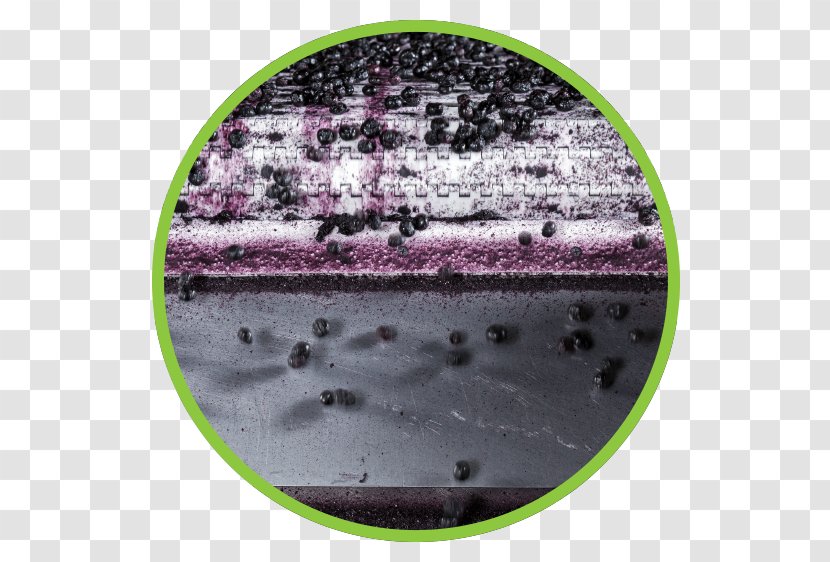 Milne Production Juice Individual Quick Freezing - Water - Blackberry Bush Identification Transparent PNG