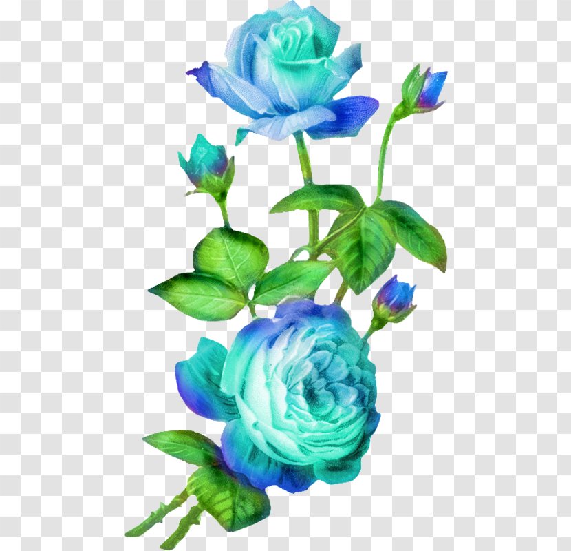 Cut Flowers Rose Clip Art - Blue - Flower Transparent PNG