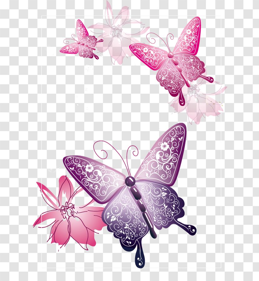 Butterfly Clip Art - Presentation - Copywriter Background Elements Transparent PNG