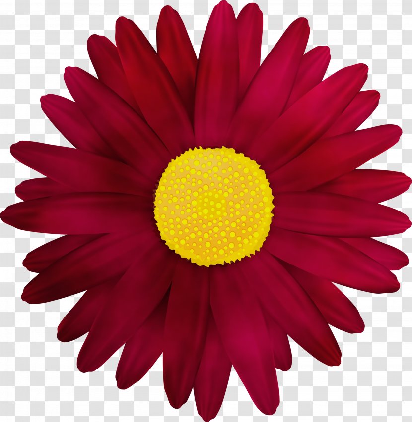 Flowers Background - Engineer - Pollen Perennial Plant Transparent PNG