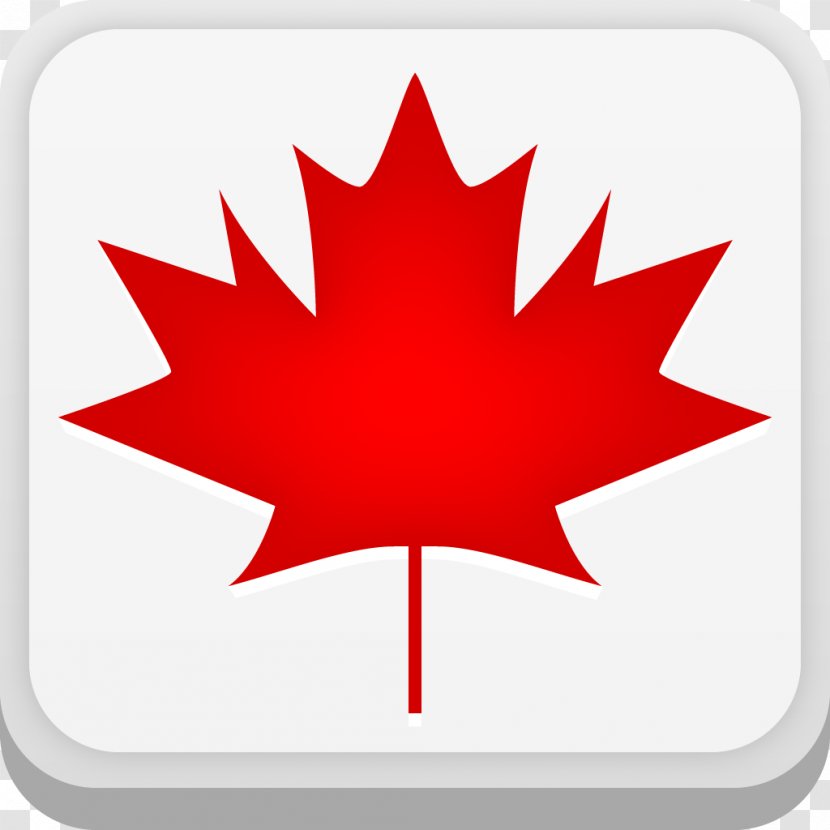 Flag Of Canada 150th Anniversary Maple Leaf - Day Transparent PNG