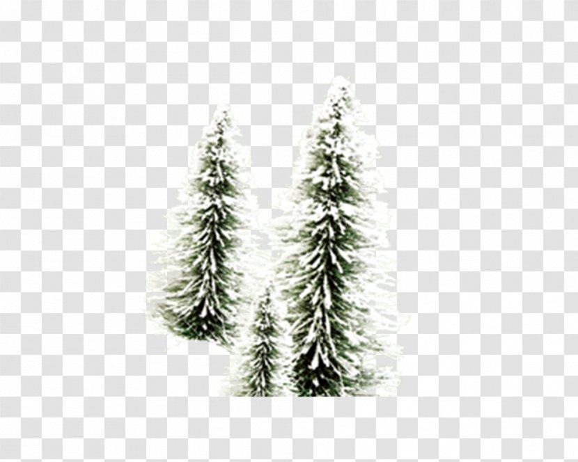 Santa Claus Christmas Tree Desktop Wallpaper Lights - Twig - In Snow Transparent PNG