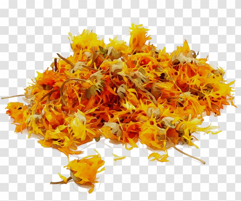 English Marigold - Yellow Transparent PNG