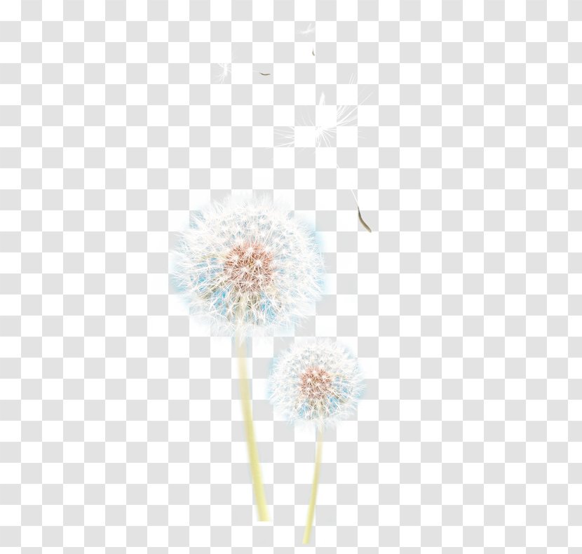 Textile Petal LINE Pattern - Flower - Dandelion Transparent PNG