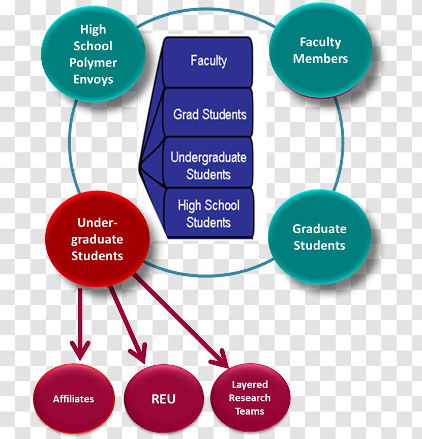 Undergraduate Education Degree Intern University Of Amsterdam - Career Development Transparent PNG