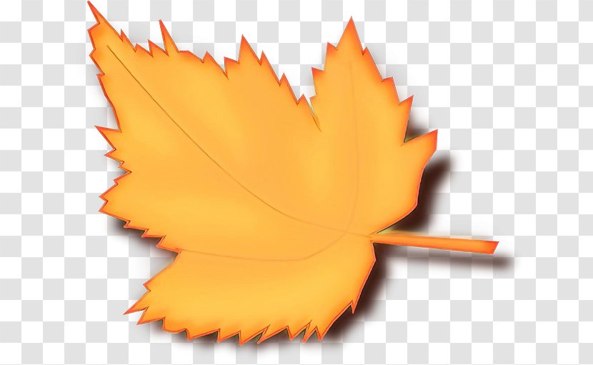 Maple Leaf - Plant Plane Transparent PNG