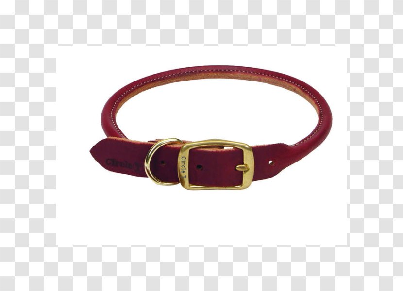 Belt Buckles Dog Collar - Leather Transparent PNG