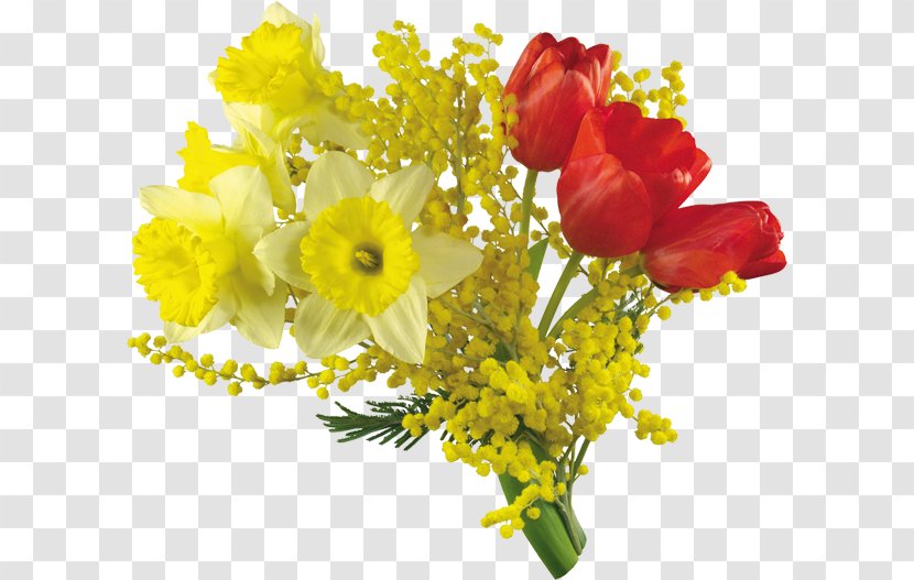 International Womens Day Party Woman March 8 Torta Mimosa - Restaurant - Bouquet Transparent PNG