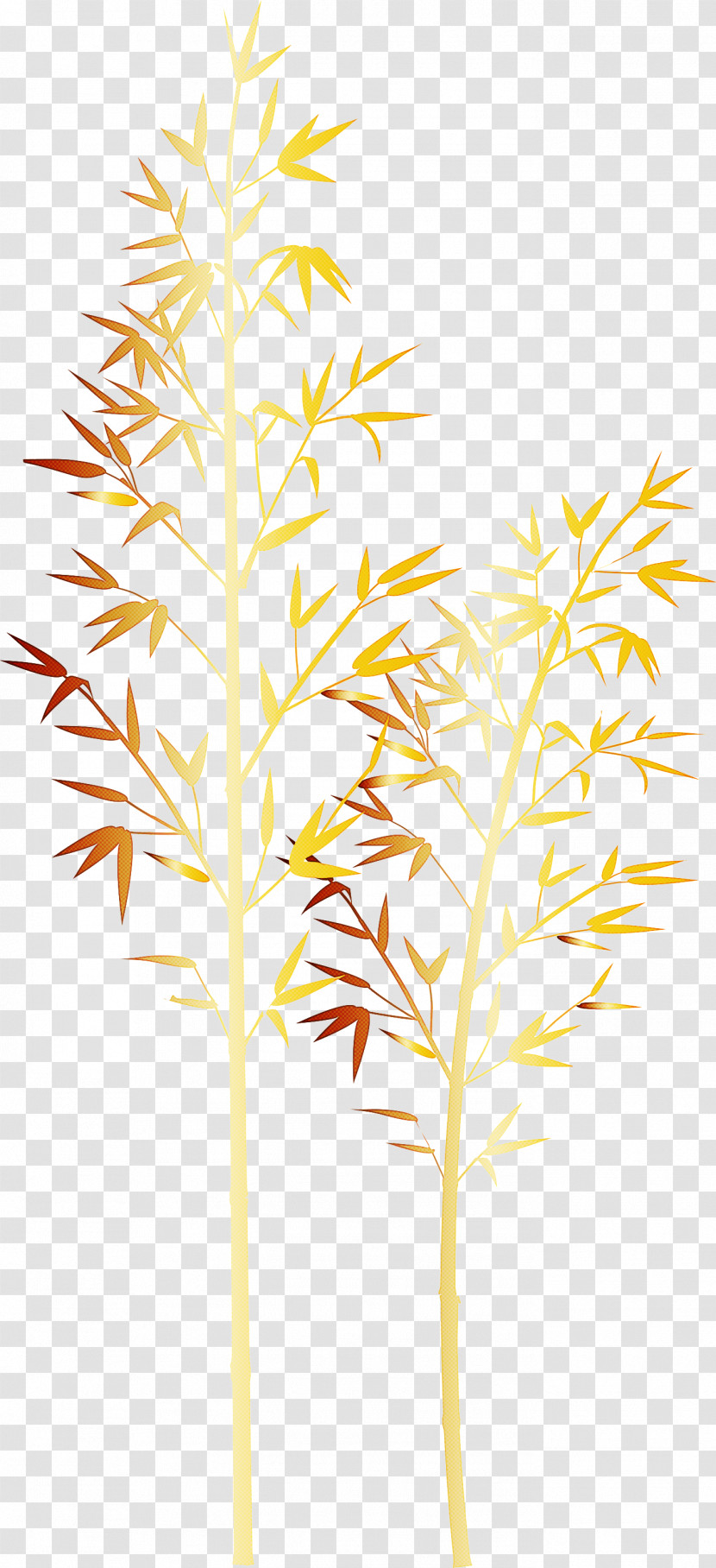 Bamboo Leaf Transparent PNG