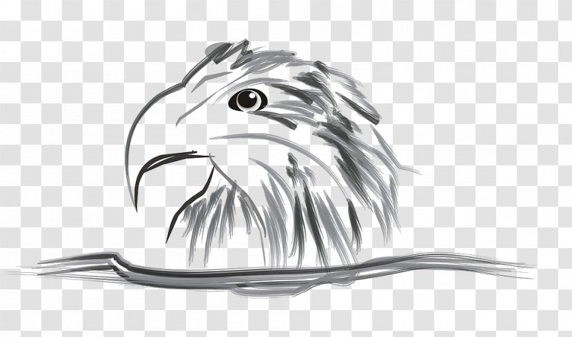 Drawing U6c34u58a8u753bu9e70 Light And Darkness - Painting - Eagle Transparent PNG