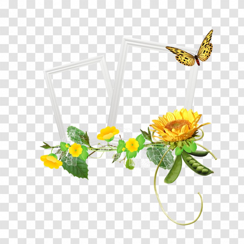 Flowers Background - Yellow - Wildflower Cut Transparent PNG