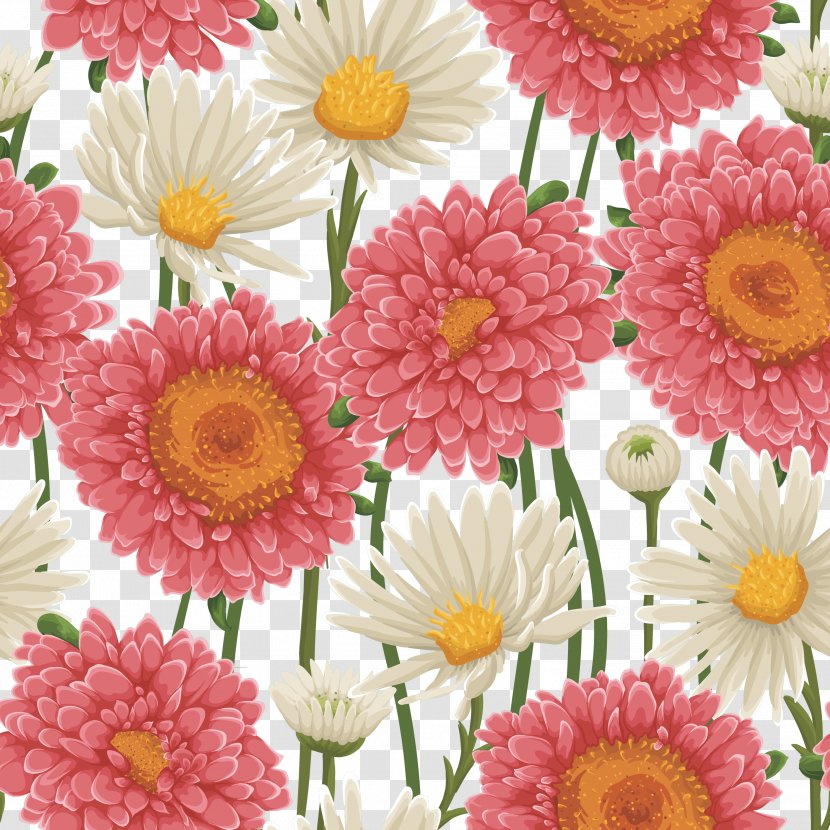 Transvaal Daisy Chrysanthemum Floral Design Family Marguerite - Petal - Chrysanths Transparent PNG