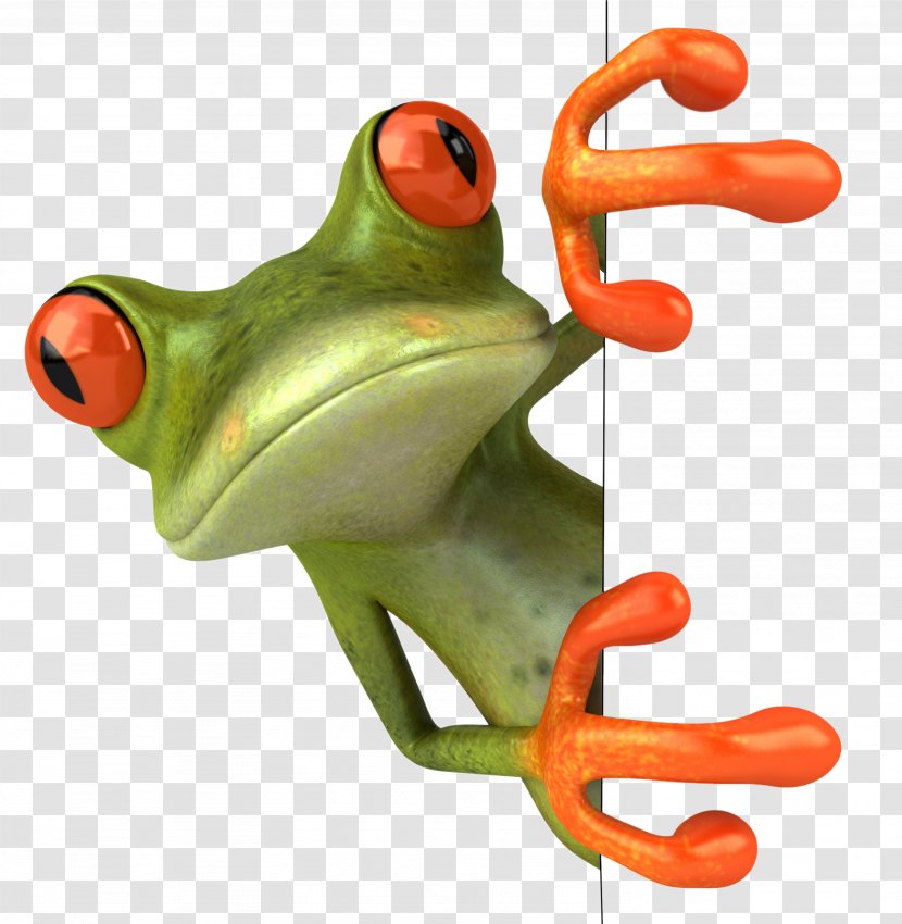 Frog Stock Photography Royalty-free Clip Art - 3d Transparent PNG