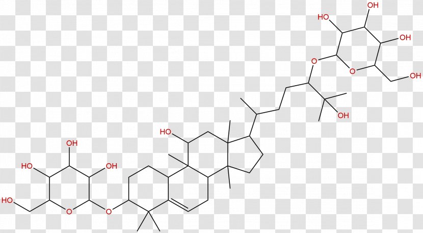 Line Point Angle - Tree - Phytochemicals Transparent PNG