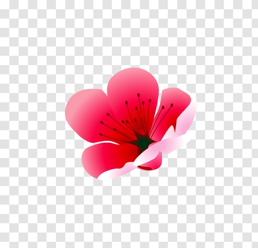 Pink Plum Blossom Drawing - Software Transparent PNG