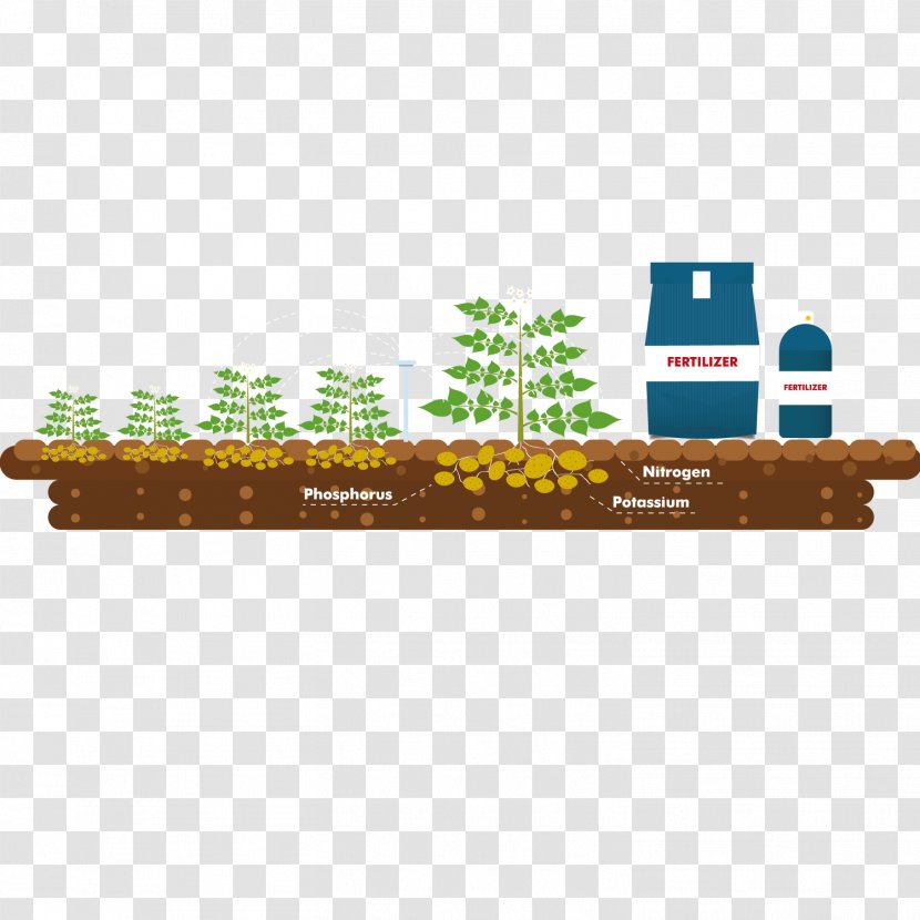 Fertilizer Plant Agriculture - Google Images - Growth Transparent PNG