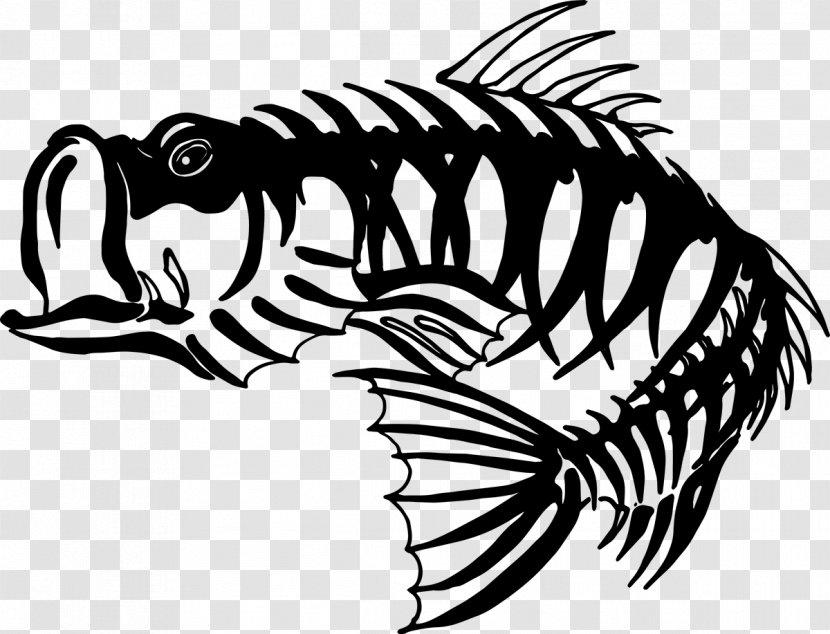 Bass Fishing Skeleton Drawing - Vertebrate Transparent PNG