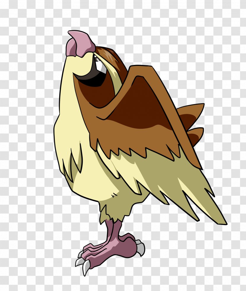 Chicken Pokémon GO Pidgeot - Tail - Pidgey Transparent PNG