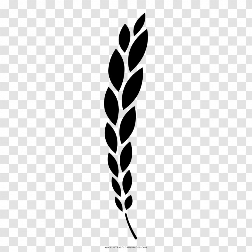 Coloring Book Drawing Wheat Branch - Underbrush 14 0 1 Transparent PNG