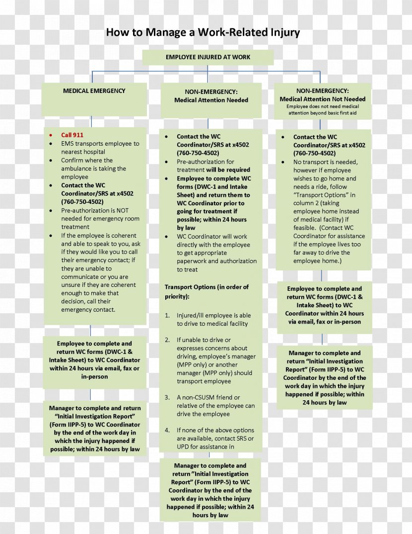 Brochure - Text - Creative Flowchart Transparent PNG